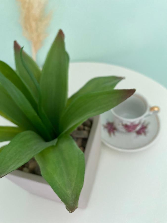 Hisa Megiclinic - Apartments & Healing Center Kobarid Ngoại thất bức ảnh