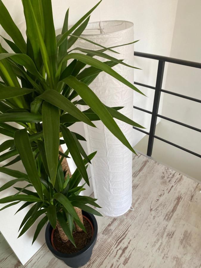 Hisa Megiclinic - Apartments & Healing Center Kobarid Ngoại thất bức ảnh