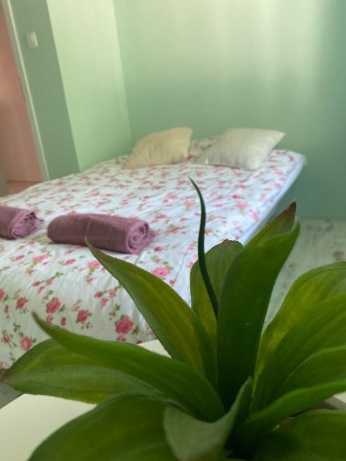 Hisa Megiclinic - Apartments & Healing Center Kobarid Ngoại thất bức ảnh