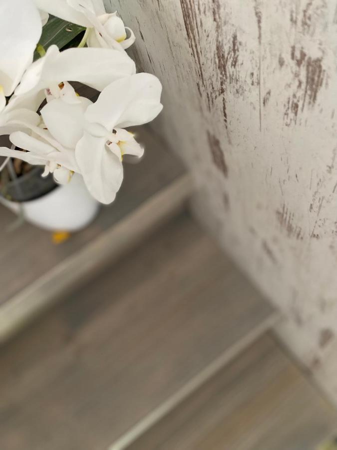 Hisa Megiclinic - Apartments & Healing Center Kobarid Ngoại thất bức ảnh