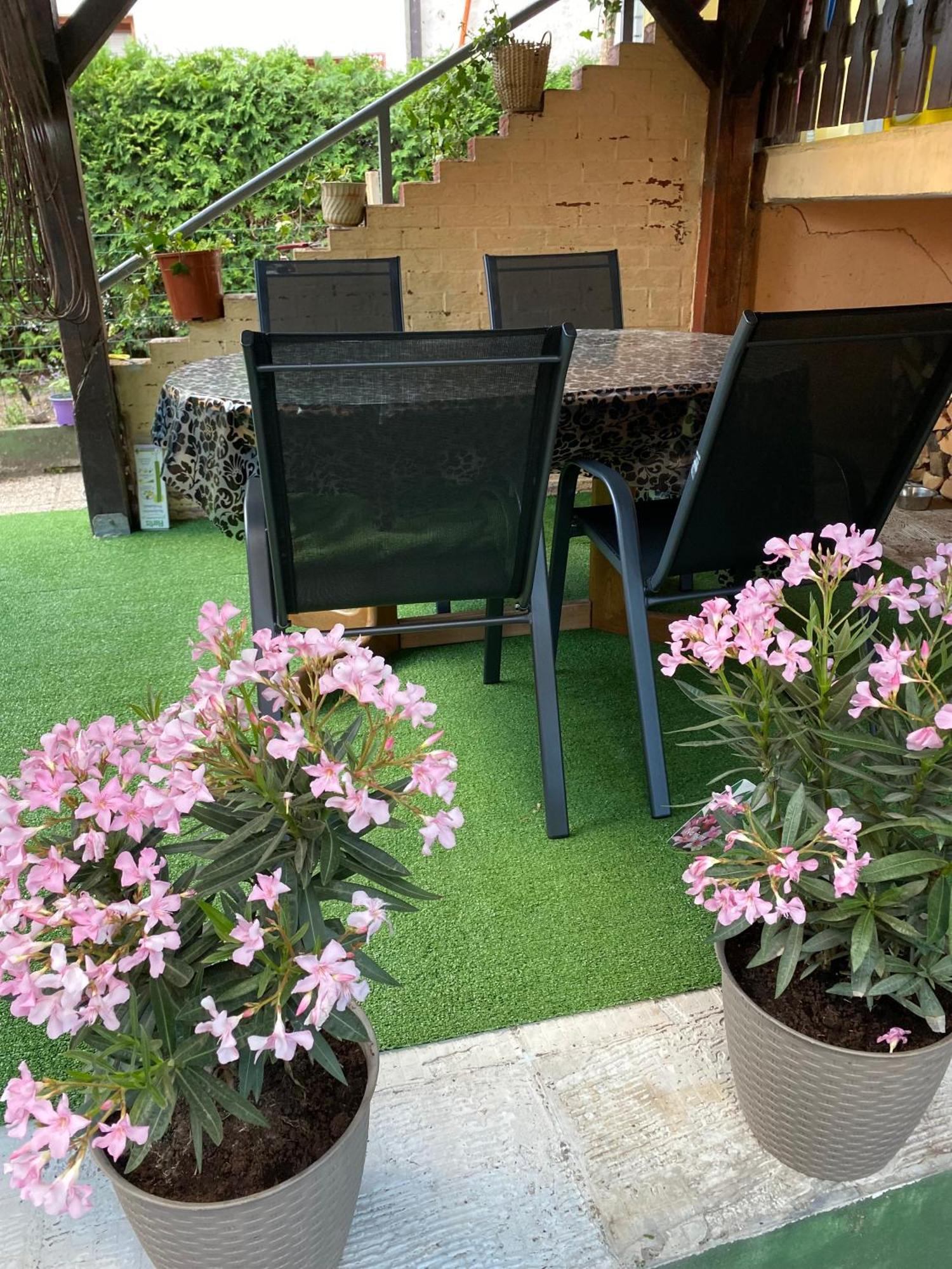 Hisa Megiclinic - Apartments & Healing Center Kobarid Ngoại thất bức ảnh
