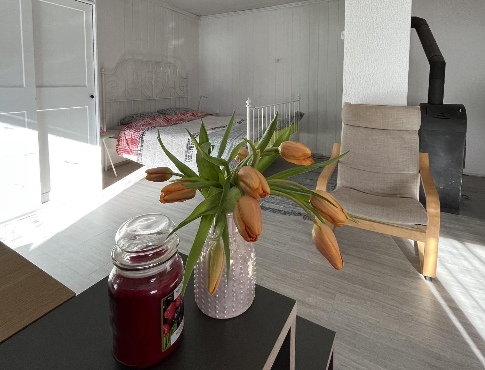 Hisa Megiclinic - Apartments & Healing Center Kobarid Ngoại thất bức ảnh