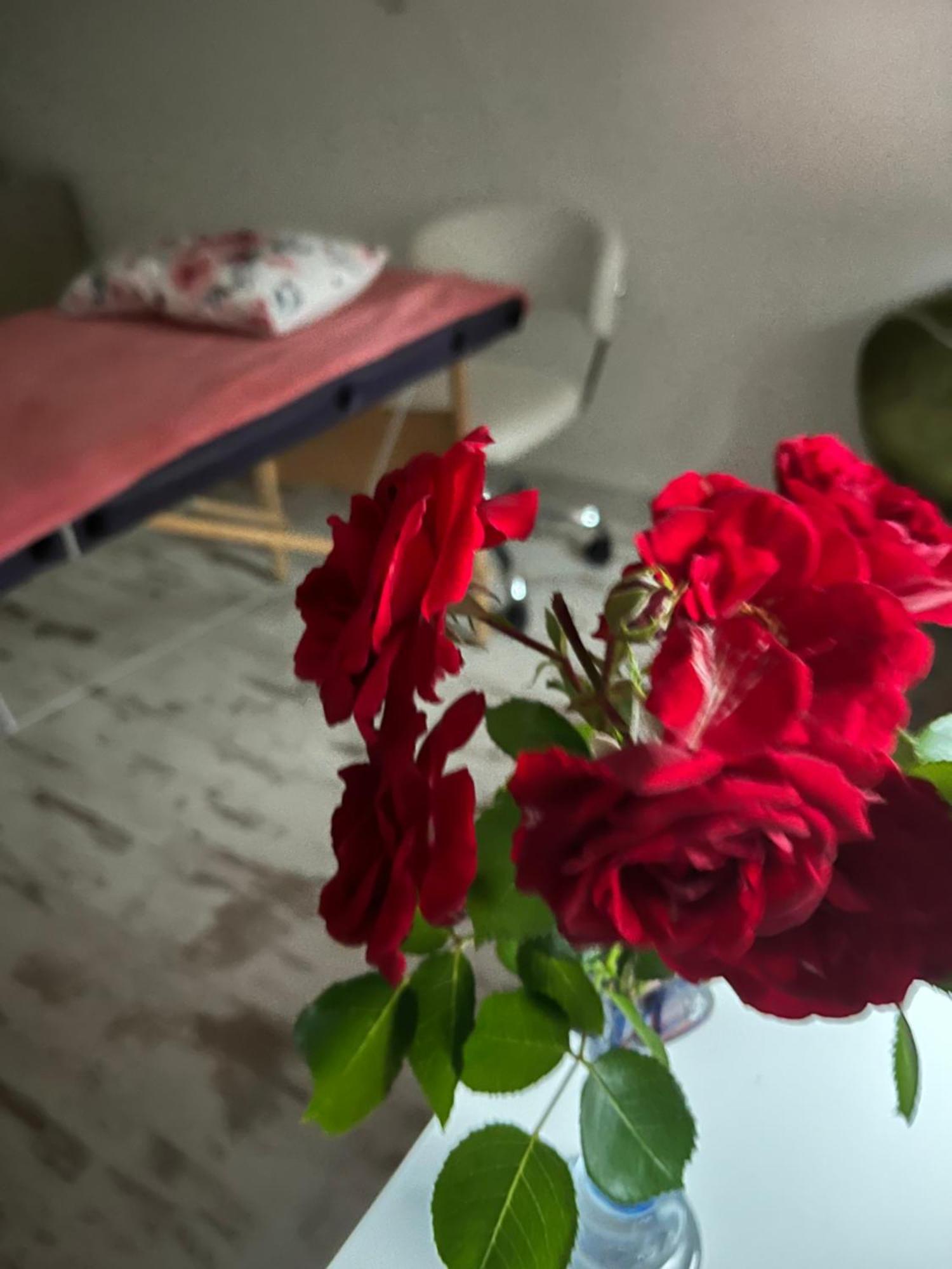 Hisa Megiclinic - Apartments & Healing Center Kobarid Ngoại thất bức ảnh