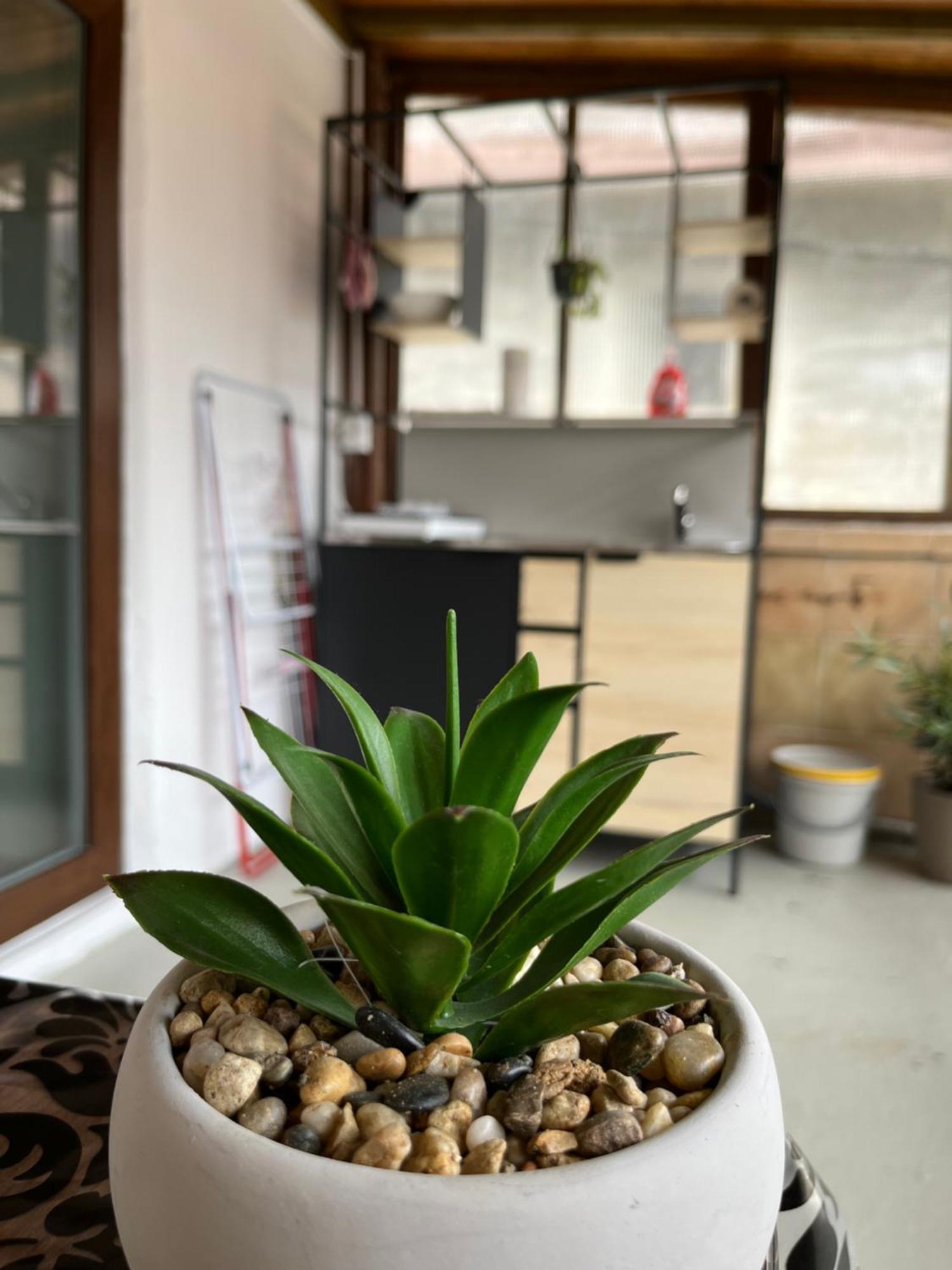 Hisa Megiclinic - Apartments & Healing Center Kobarid Ngoại thất bức ảnh