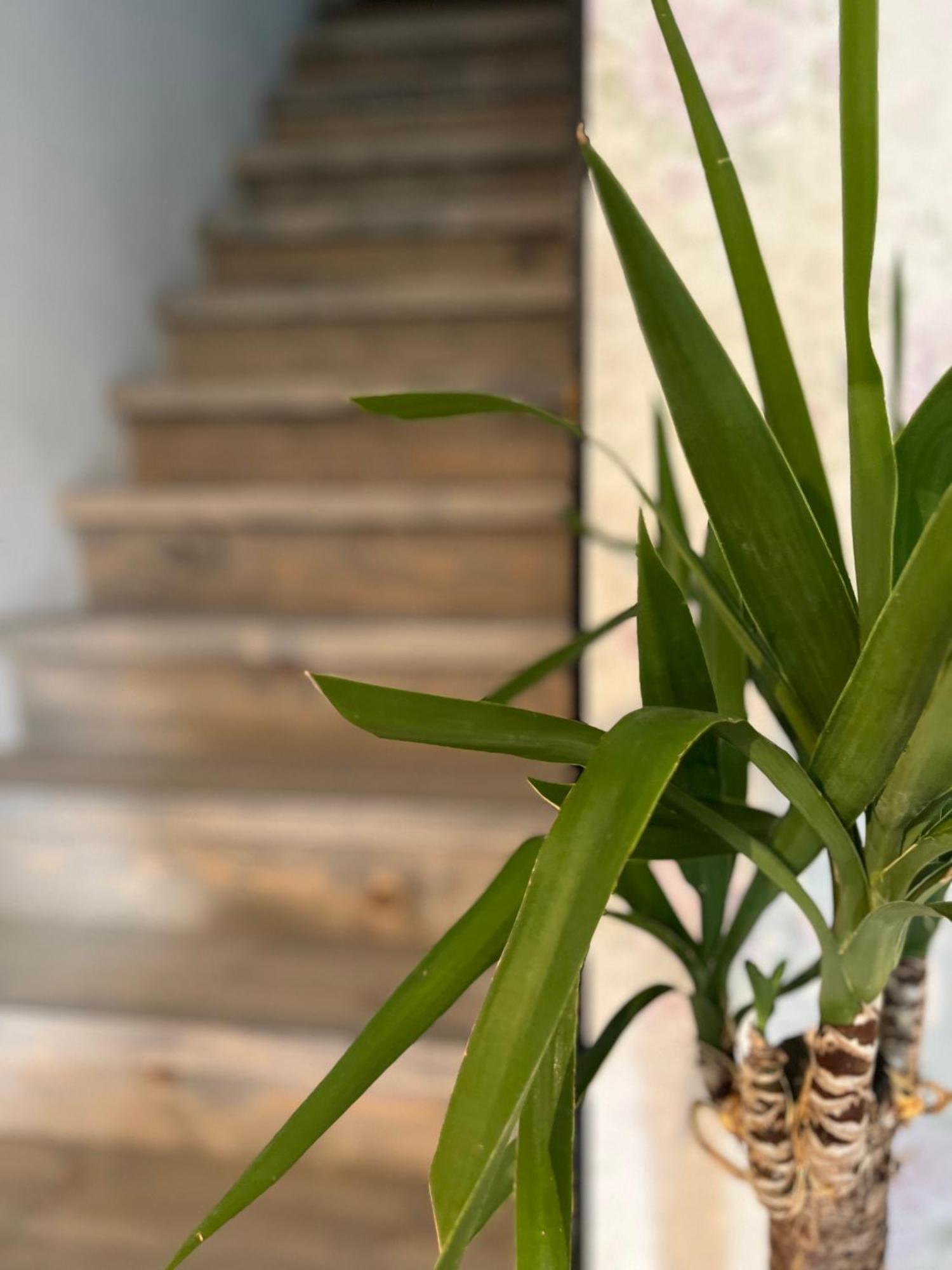 Hisa Megiclinic - Apartments & Healing Center Kobarid Ngoại thất bức ảnh